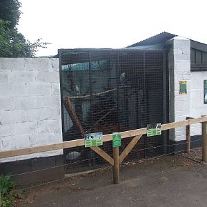 Cockatoo and Tragopan Enclosure
