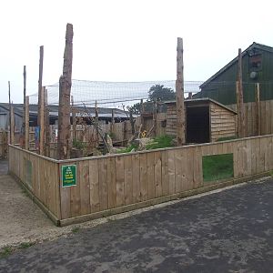 Kookaburra and Parma Wallaby Enclosure