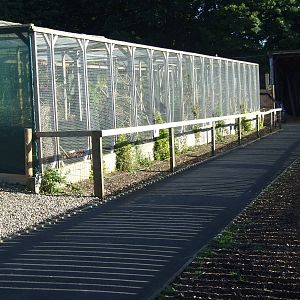 Aviaries