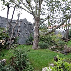 Paddock of Tremarctos ornatus / Alouatta caraya