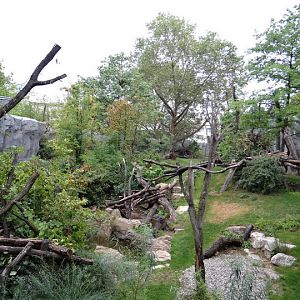 Paddock of Tremarctos ornatus / Alouatta caraya