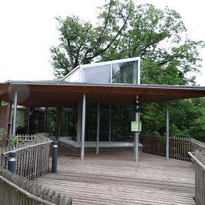 Pavilion of Nomascus leucogenys