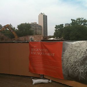 Regenstein Macaque Forest-Construction