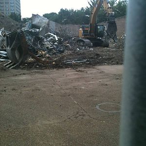 Regenstein Macaque Forest-Construction