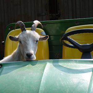 Hijack at the Ranch, 28 August 2013