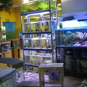 aquatics shop