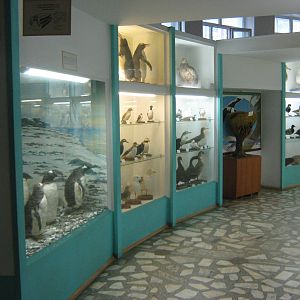 museum