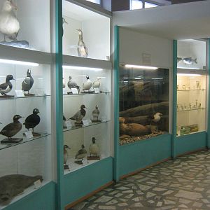 museum