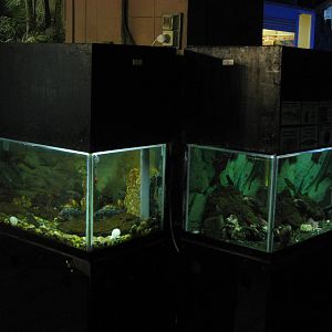 small local marine tanks
