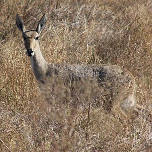 2010: Larry Johnson's Place