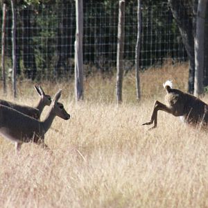 2010: Larry Johnson's Place
