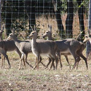 2010: Larry Johnson's Place