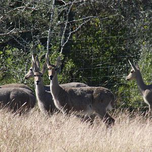 2010: Larry Johnson's Place