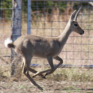 2010: Larry Johnson's Place