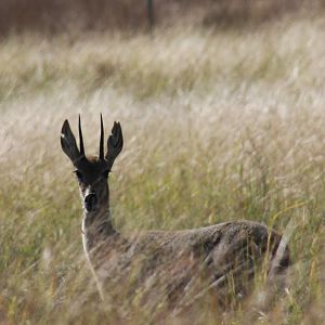 2010: Larry Johnson's Place