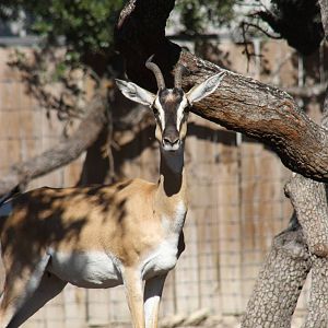 2010: Larry Johnson's Place