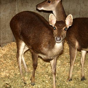 2010: Larry Johnson's Place