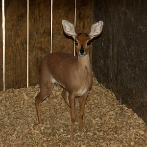 2010: Larry Johnson's Place