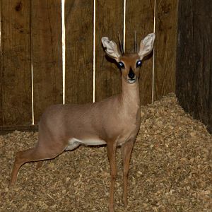 2010: Larry Johnson's Place