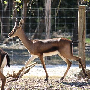 2010: Larry Johnson's Place