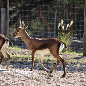 2010: Larry Johnson's Place