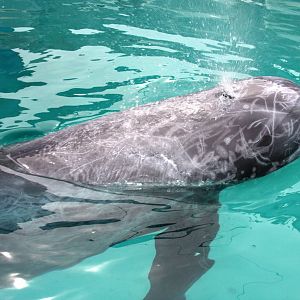 2013: Long Island Aquarium