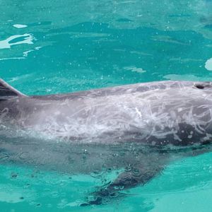 2013: Long Island Aquarium