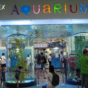 Aquarium entrance