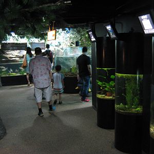 aquariums