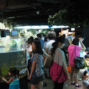 aquariums