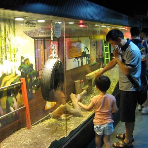 prairie dog enclosure