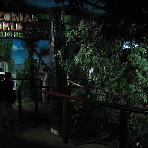 entrance to the rainforest