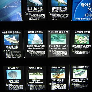 signage for the ocean tank