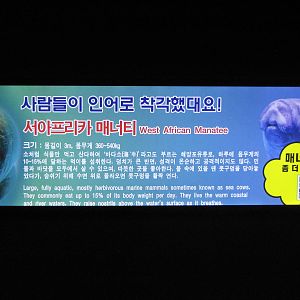 signage for African manatee (Trichechus senegalensis)