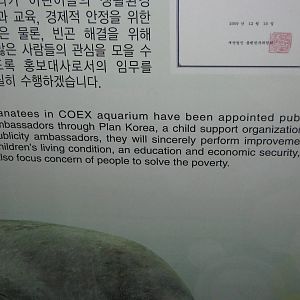 sign for African manatee (Trichechus senegalensis)