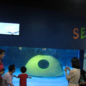 tank for harbour seal (Phoca vitulina)