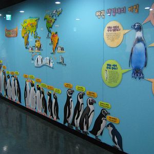 penguin line-up