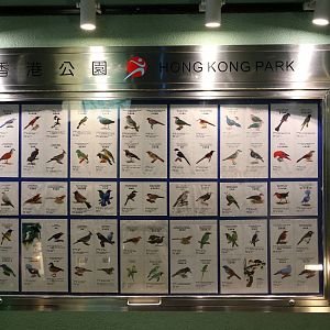 Bird ID Chart Inside The Entrance