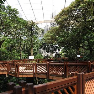 A few random shots inside the aviary