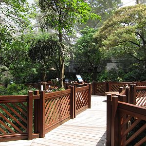 A few random shots inside the aviary