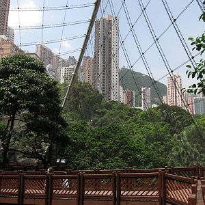 A few random shots inside the aviary