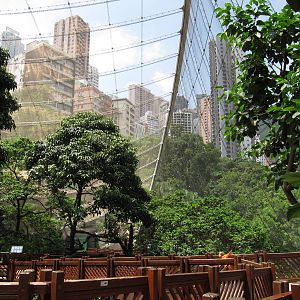 A few random shots inside the aviary