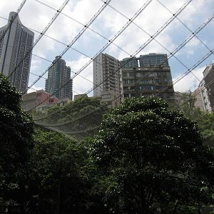 A few random shots inside the aviary