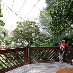 A few random shots inside the aviary