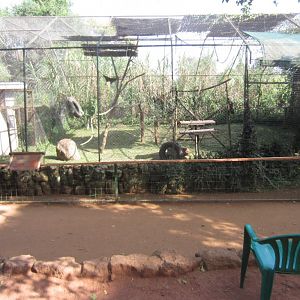 Red-tailed Monkey cage