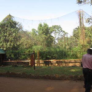 Shoebill Aviary exterior