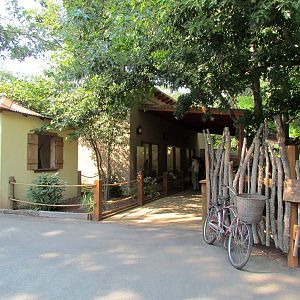 African Plains - Patas Monkey Indoor Exhibit