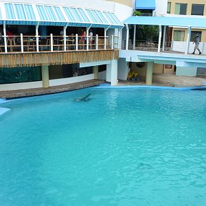 Dolphinarium