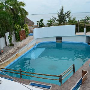 Small sea lion exhibit
