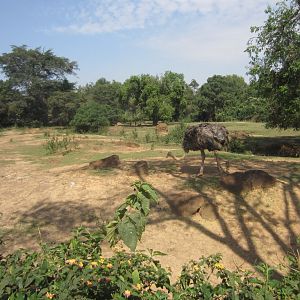 Lake Mburo Exhibit